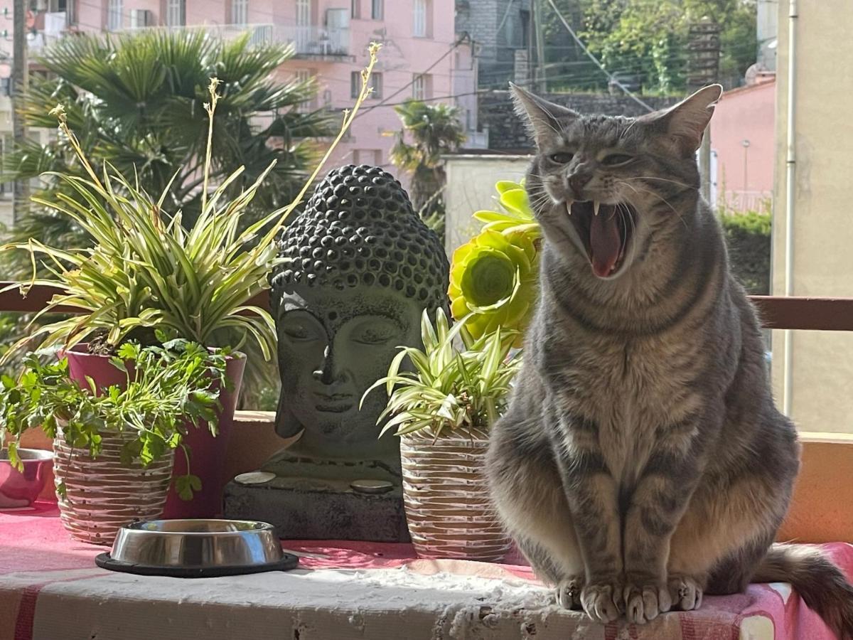 Pozzo Di Borgo Appartement Ajaccio  Buitenkant foto
