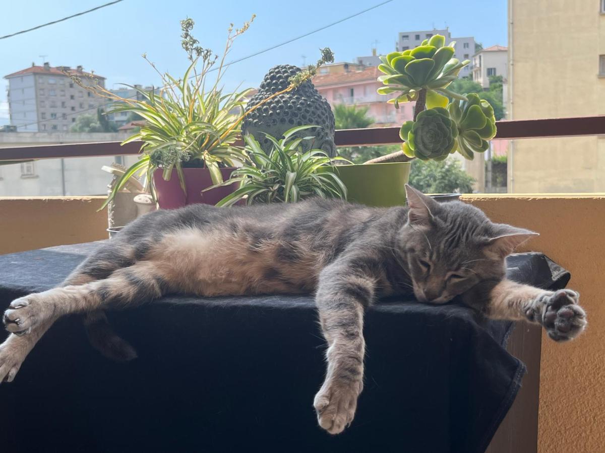 Pozzo Di Borgo Appartement Ajaccio  Buitenkant foto
